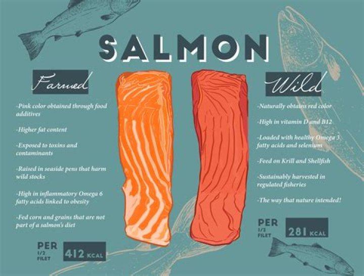 Should I buy organic salmon?