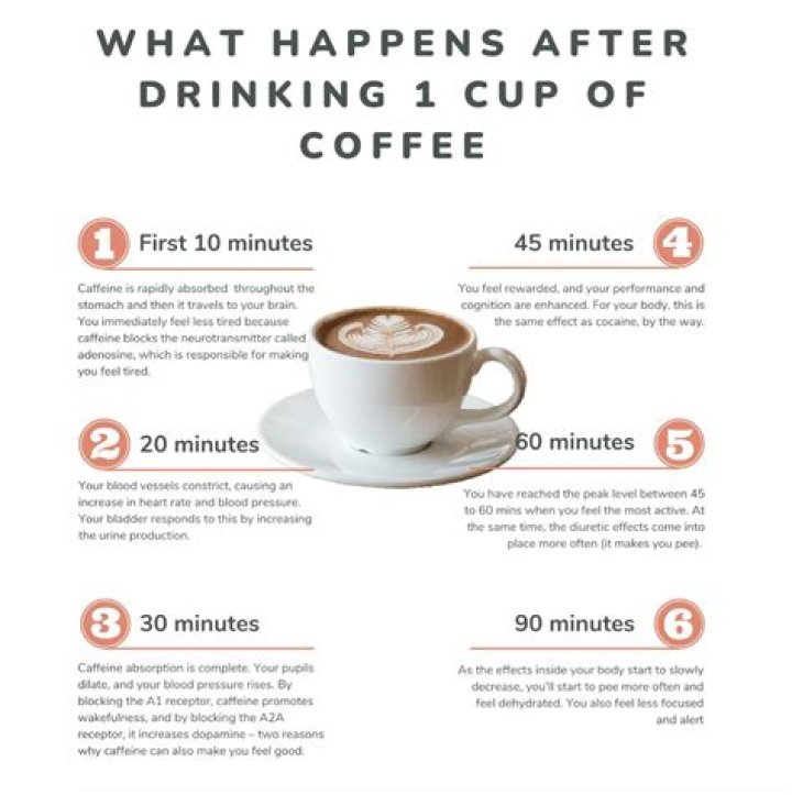 Should I drink coffee before a long drive?