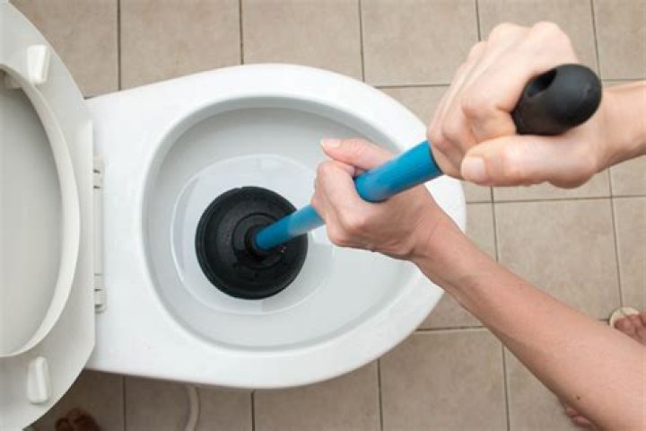 Should I flush a clogged toilet after plunging?