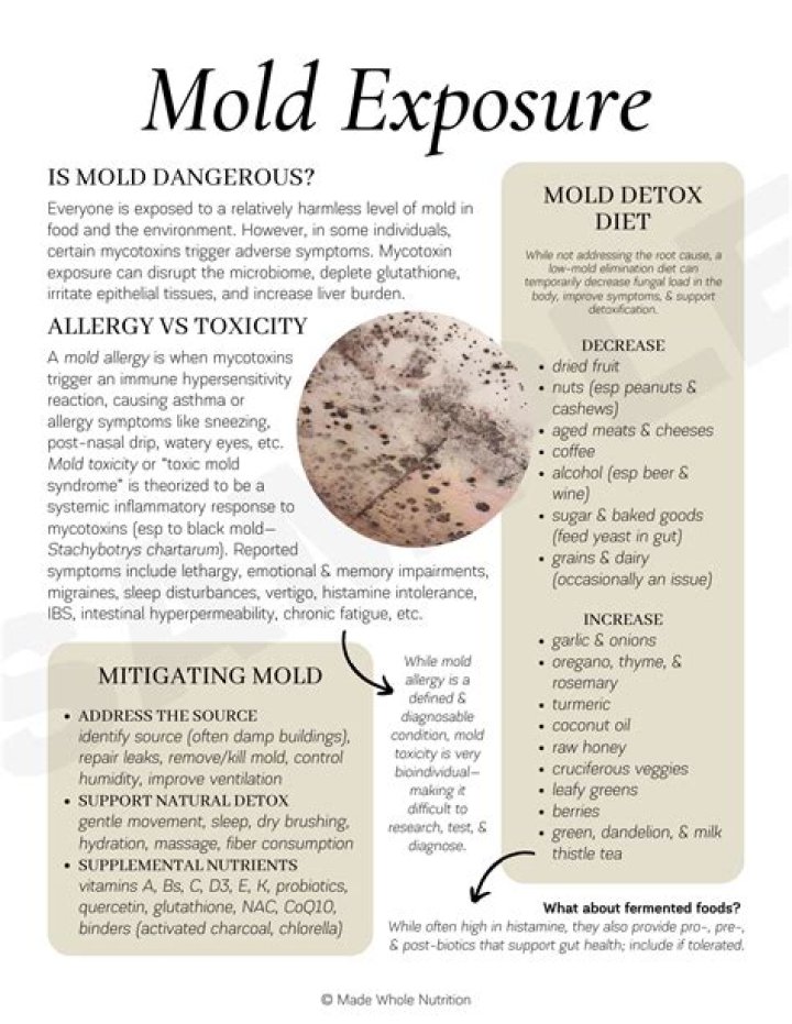 Should I go to the ER for mold exposure?