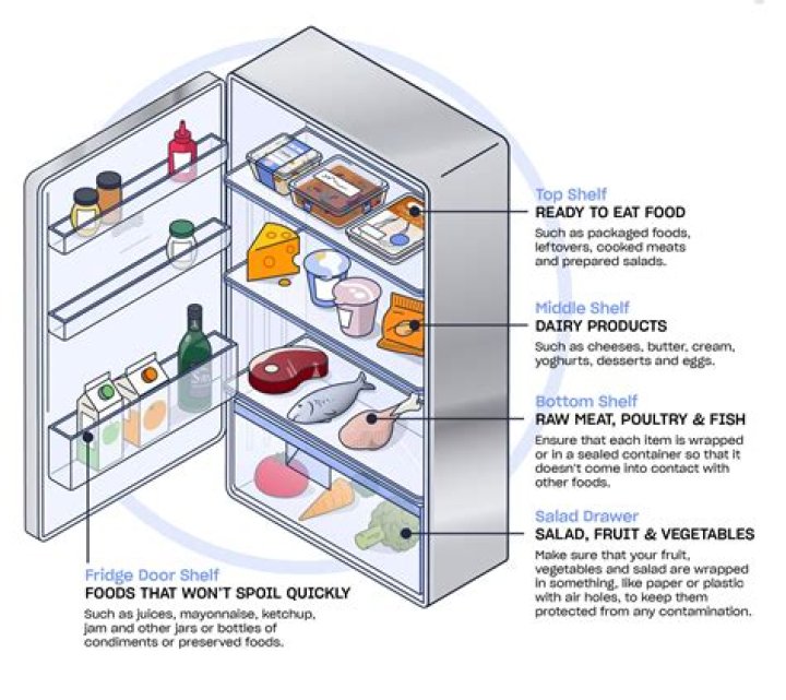 Should my fridge be on cold or colder?