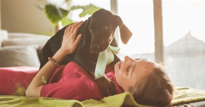 Should you play with your puppy before bed?