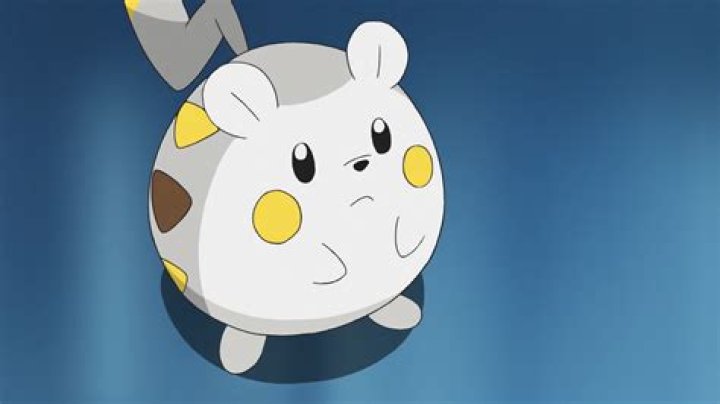 What animal is Togedemaru?