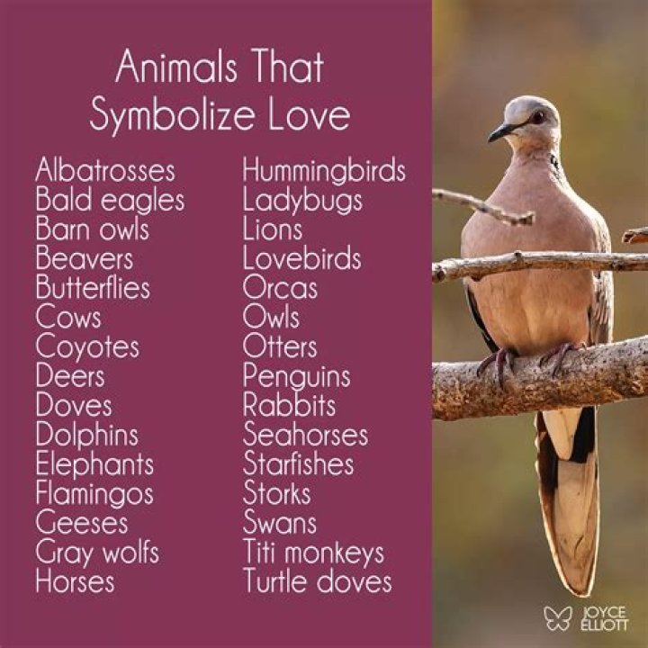 What animal represents love and loyalty?