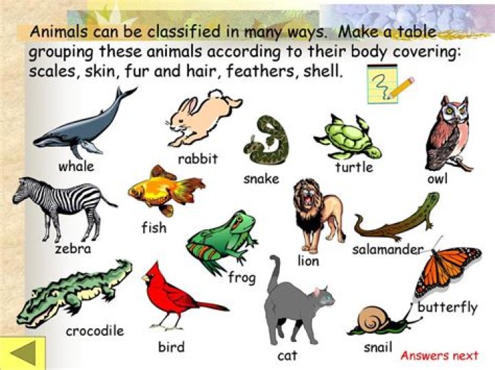 What animals Cannot swim?