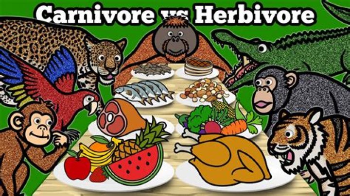 What animals eat plants and trees?