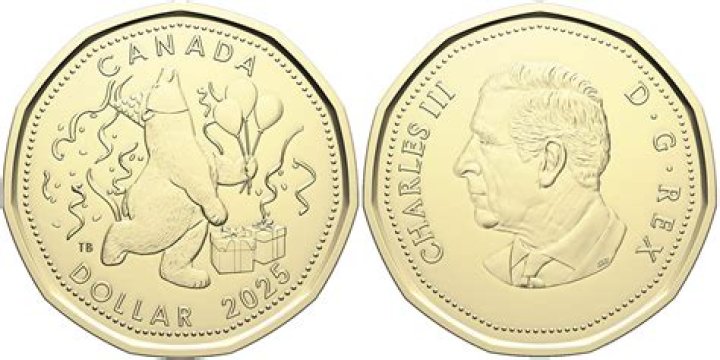 What animals eat sand dollar?