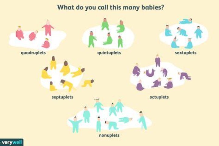 What are 12 babies born at once called?