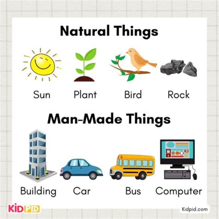 What are 5 natural things?