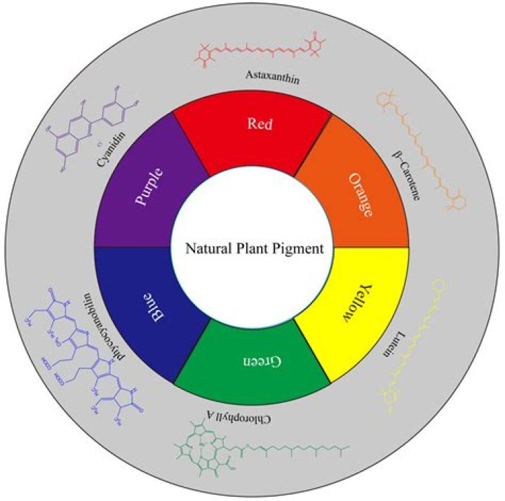 What are natural sources of pigment?