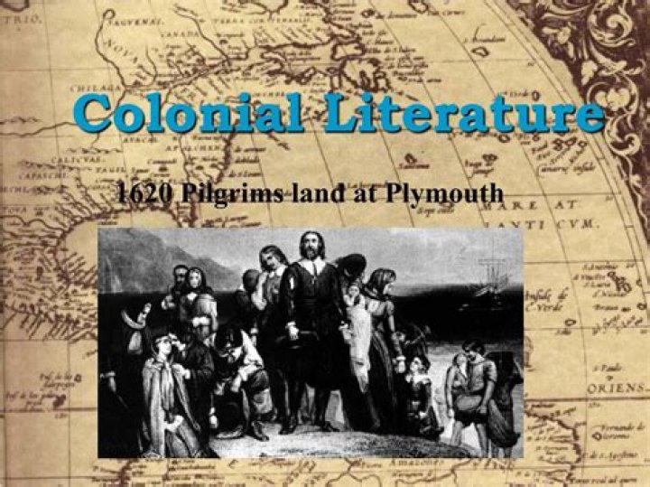 What are some common themes found in colonial literature?