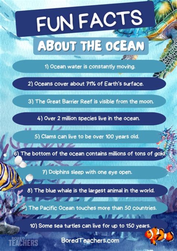 What are some fun facts about marine biology?