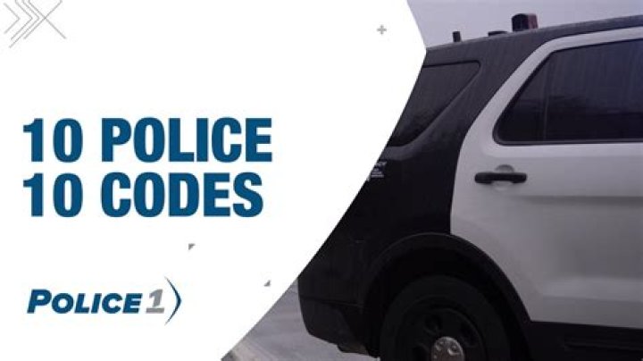 What are the 10 police codes?