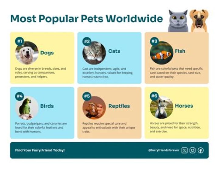 What are the 2 most popular pets in the world?