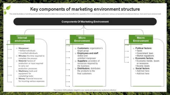 What are the 2 types of marketing environment?