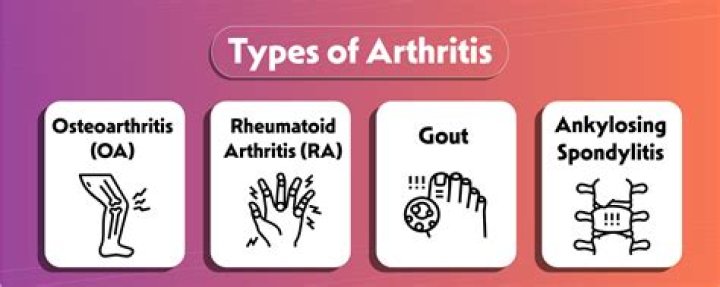What are the 3 main types of arthritis?