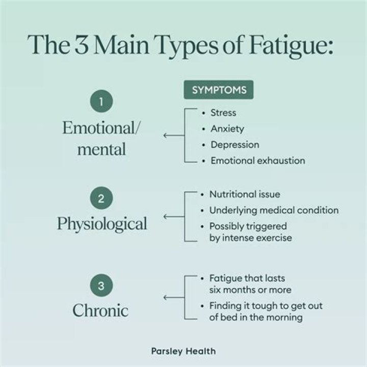 What are the 3 types of fatigue?