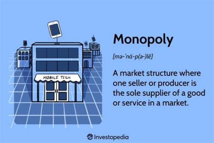 What are the 4 types of monopoly?