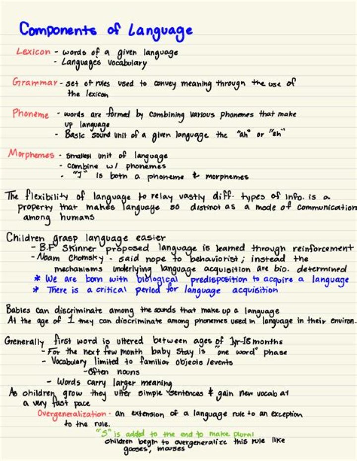 What are the 7 components of language?