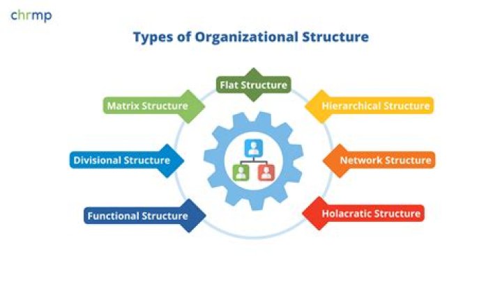 What are the 8 types of organizational structure?
