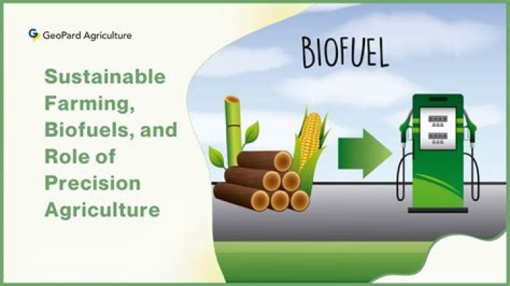 What are the challenges in Biodiesel Production?