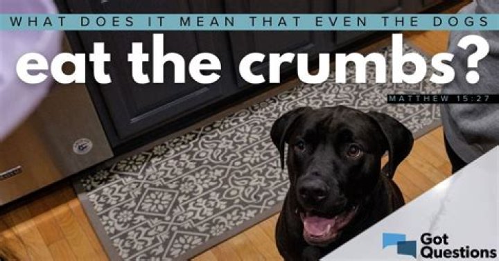 What are the crumbs in bed?