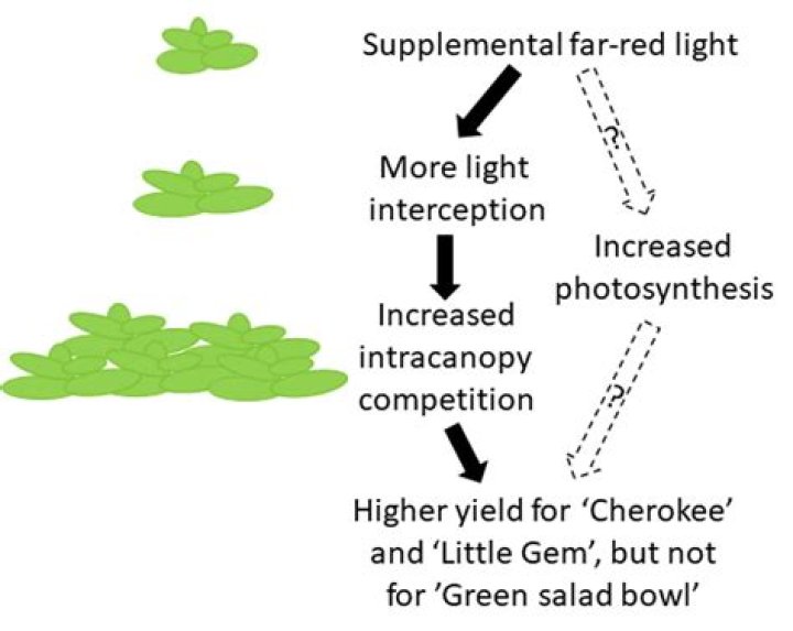 What are the effects of partiality?