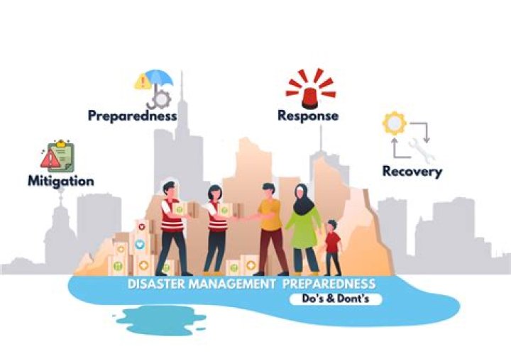 What are the problem about disaster response management?