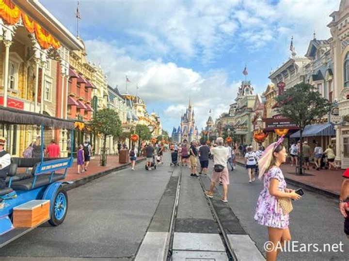What are the slowest days at Disneyland?