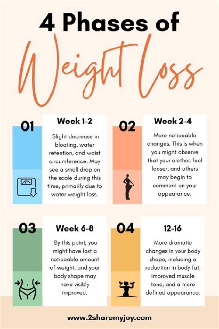 What are the stages of weight loss?
