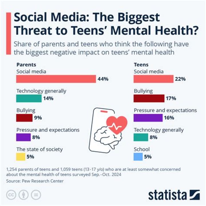 What are the top 3 mental health issues in teens?