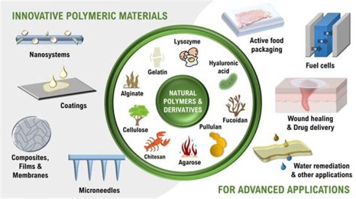 What are three natural polymers?