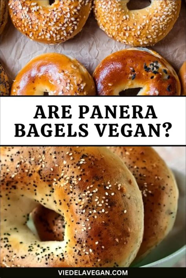 What bagels are not vegan?