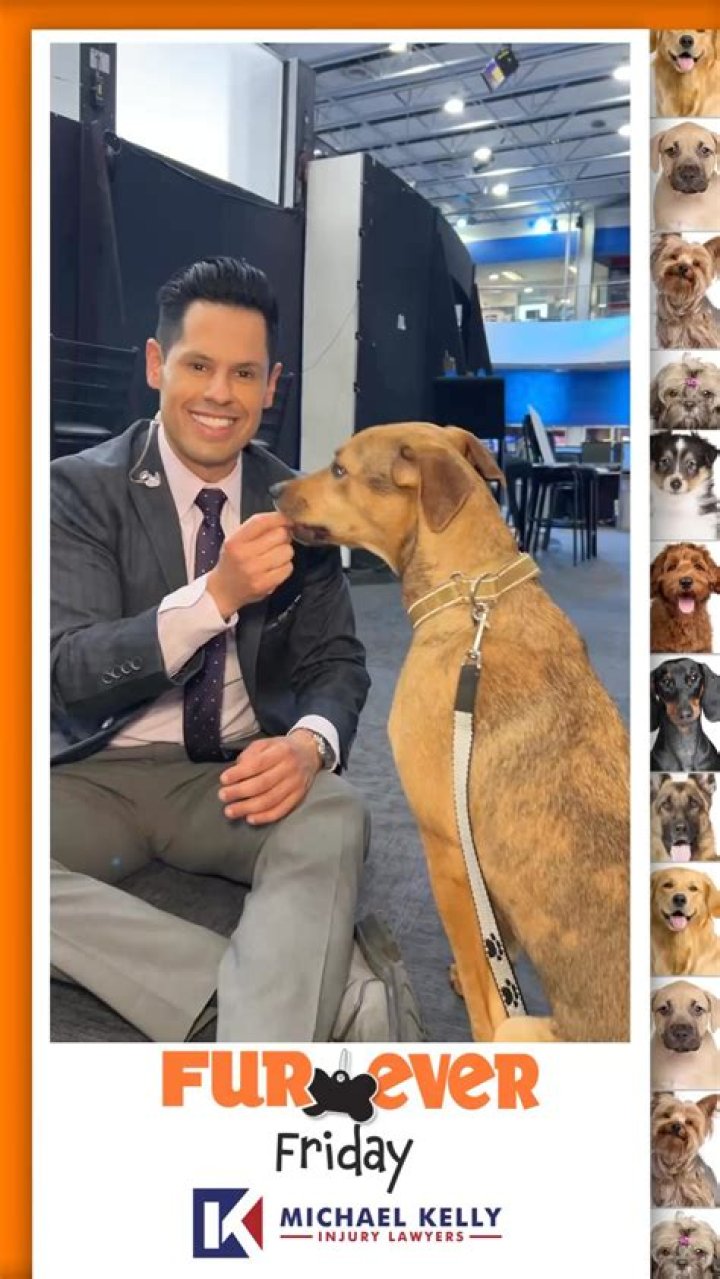 What behaviors would make you return your new pet?