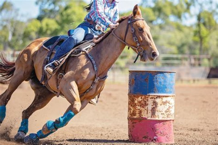 What bit should I use for barrel racing?
