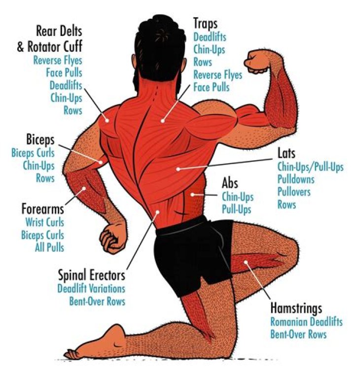 What body parts should be worked out together?