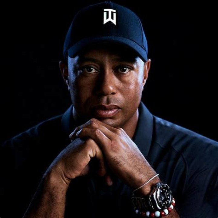 What brand has a tiger logo?