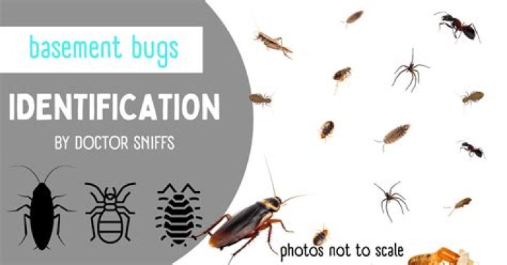 What bugs can you pick up in hospital?