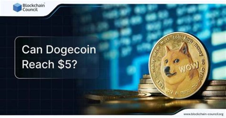 What can Dogecoin buy?