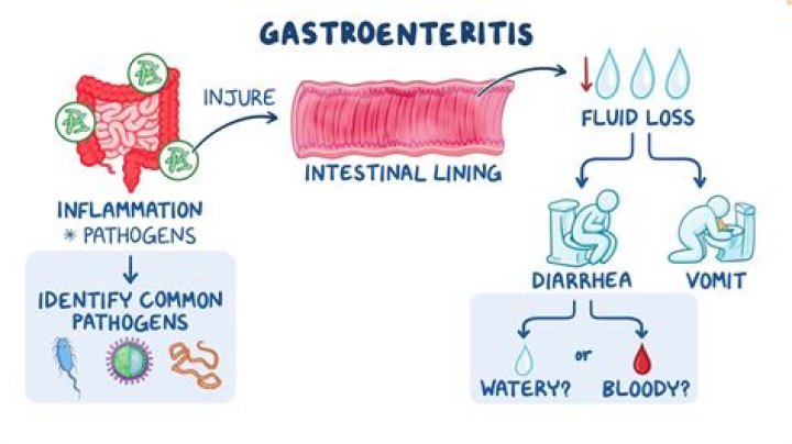 What can I drink with gastroenteritis?