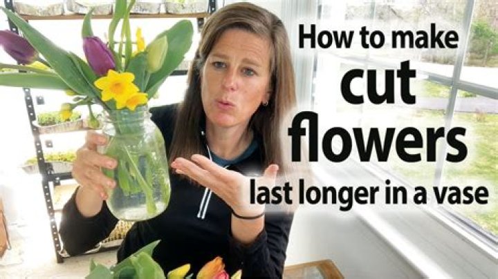 What can I put in the water to make cut flowers last longer?