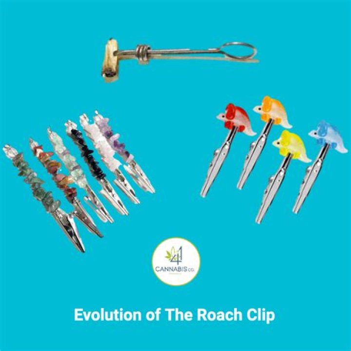What can I use as a roach clip?