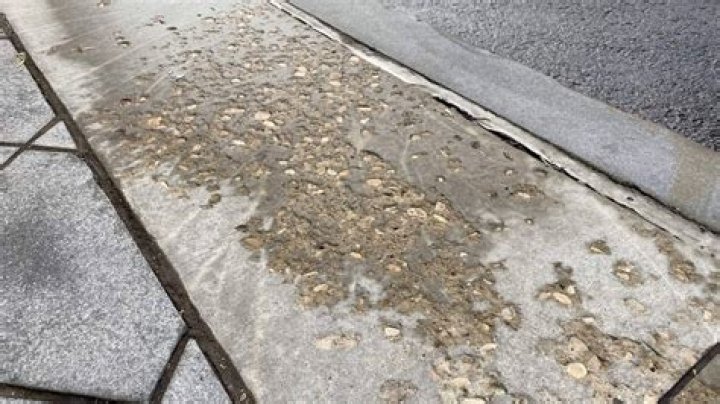 What can I use instead of salt on my driveway?