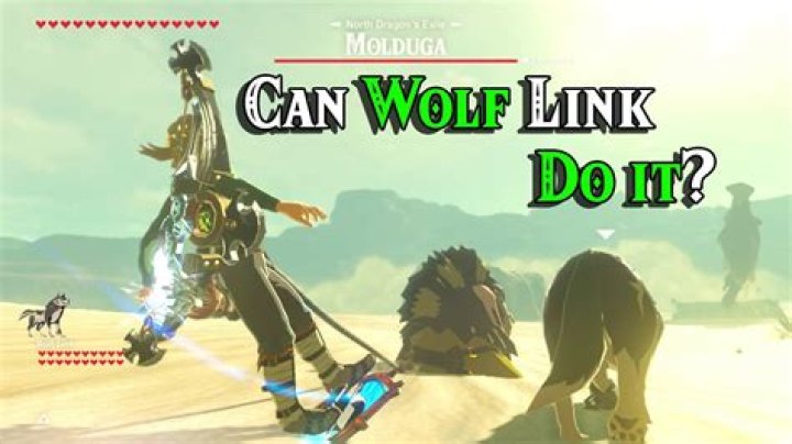 What can wolf Link do in Breath of the Wild?