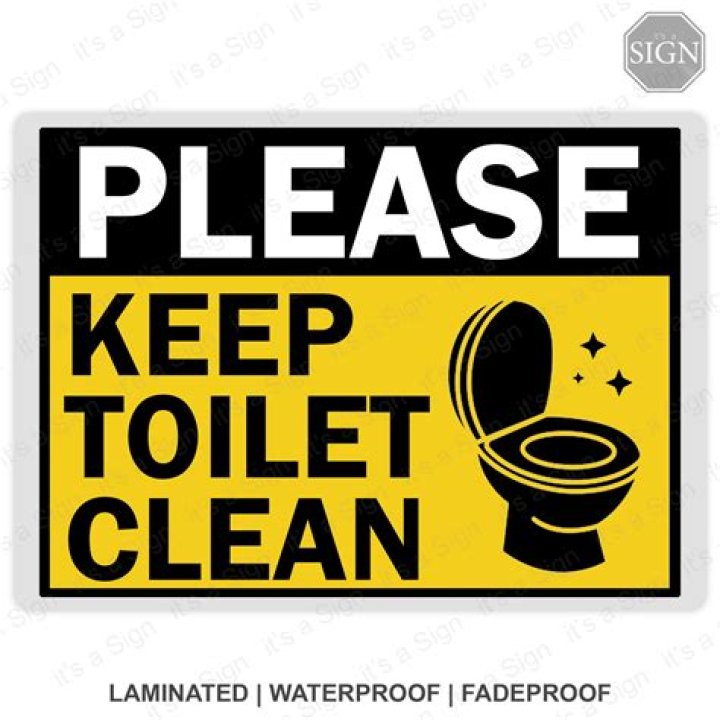 What can you put in the toilet tank to keep it clean?