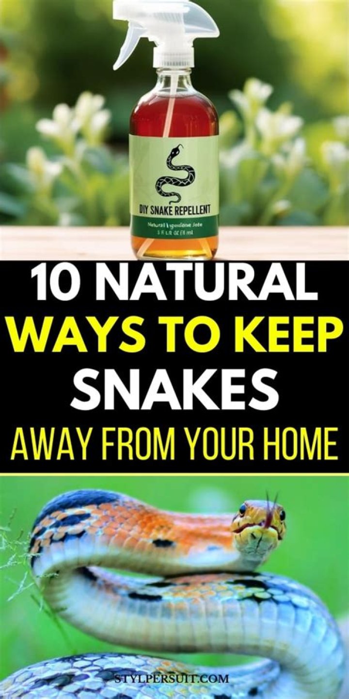What can you put out to keep snakes away?