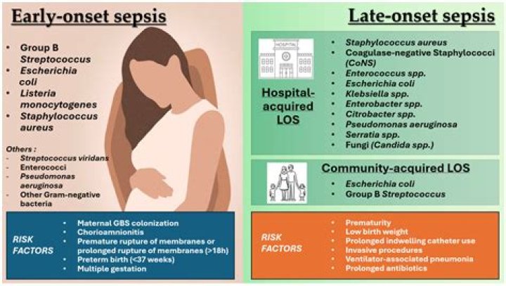 What causes late talkers?