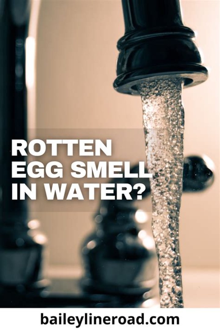 What causes rotten egg smell in well water?