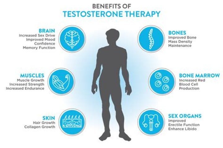 What causes testosterone to increase?