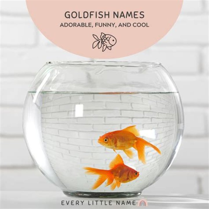 What color gravel is best for goldfish?